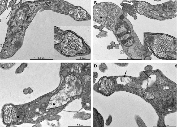 Figure 9