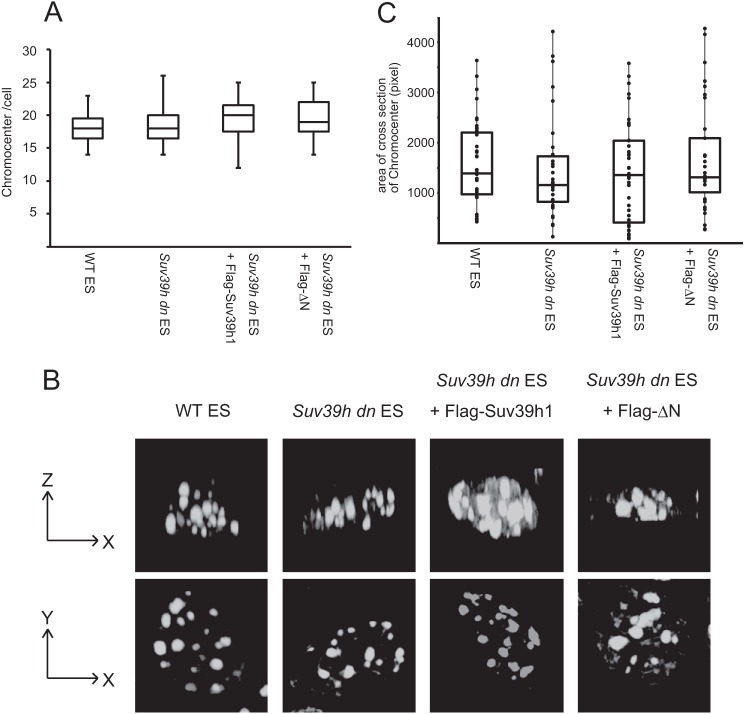 FIGURE 4.