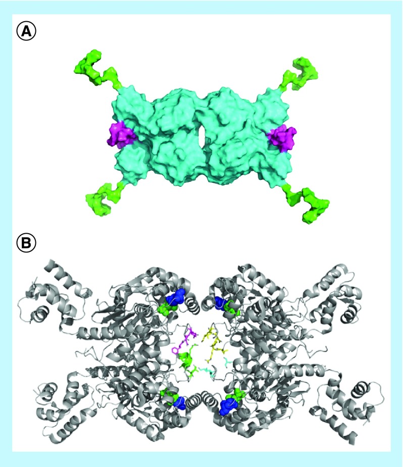 Figure 5. 