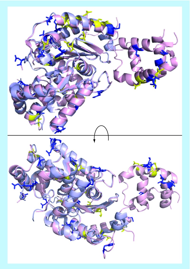 Figure 4. 