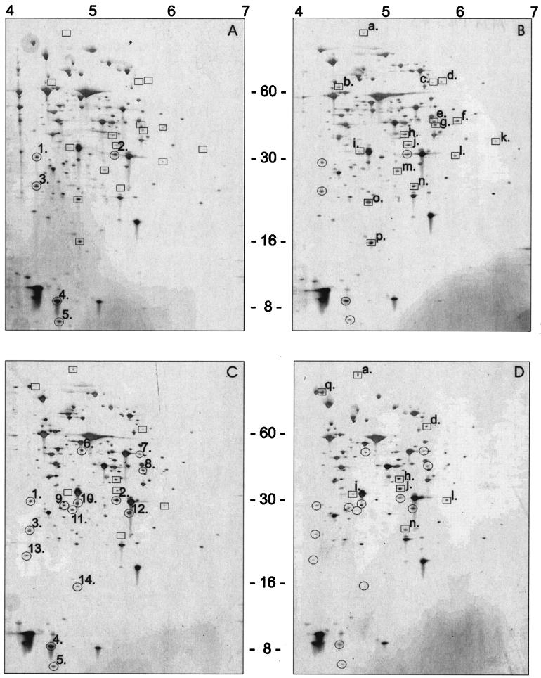 FIG. 3.