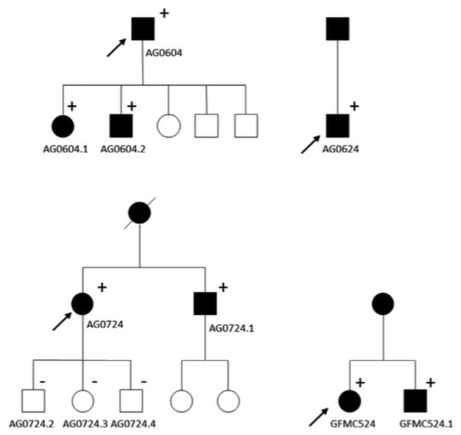 FIGURE 2