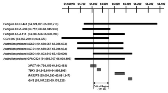 FIGURE 3