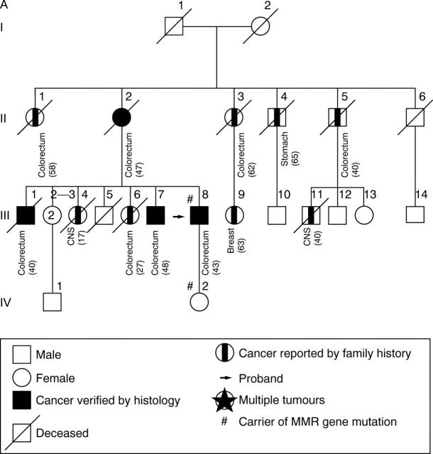 Figure 2  