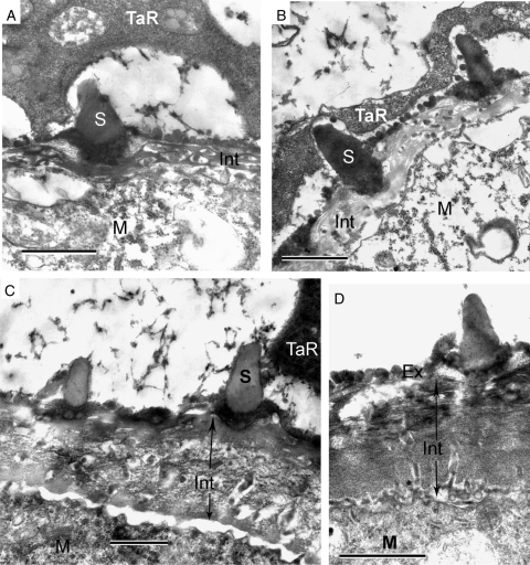 Fig. 10.