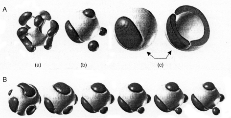 Fig. 11.