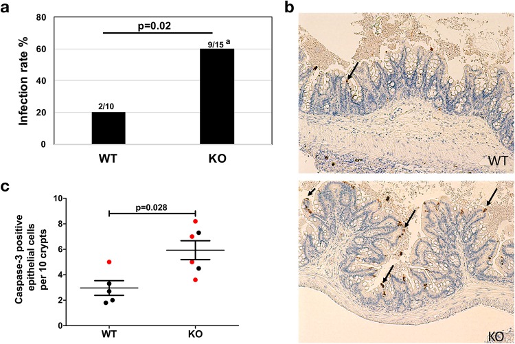 FIG 4