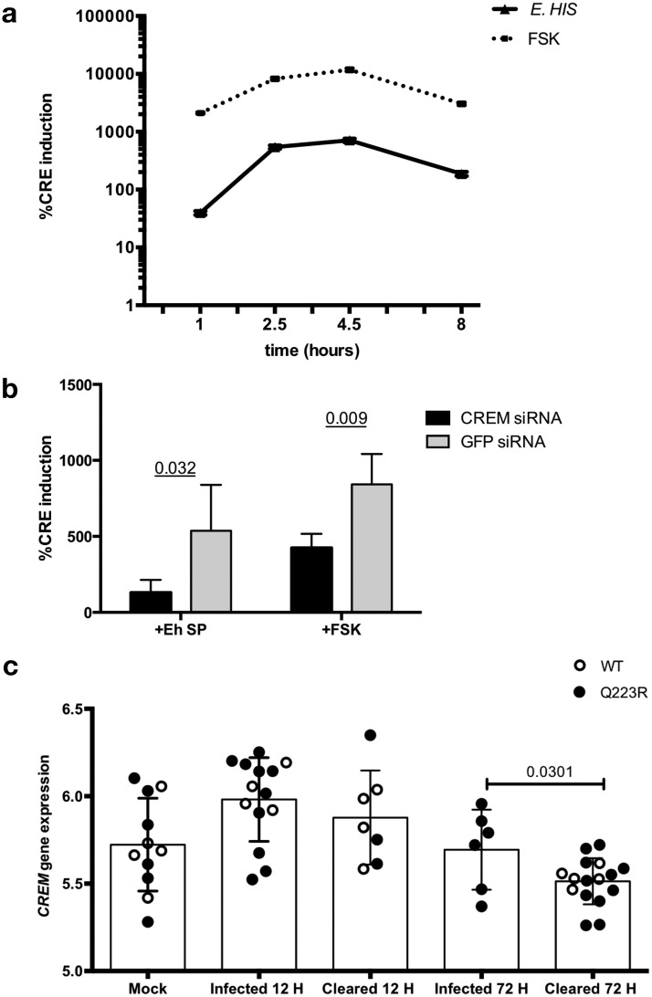 FIG 3