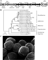 FIG 2