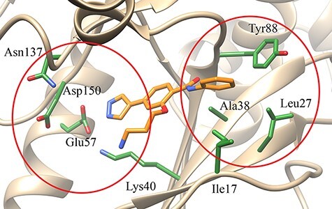 Figure 7.