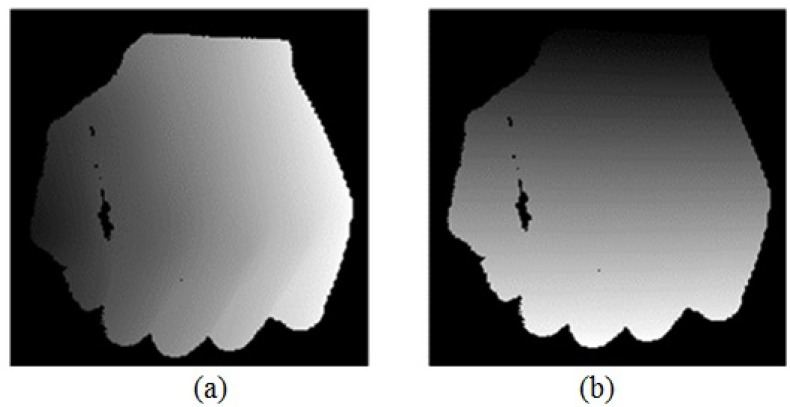 Fig. 10