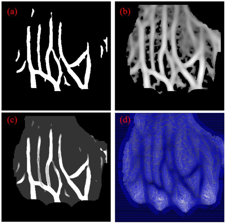 Fig. 7