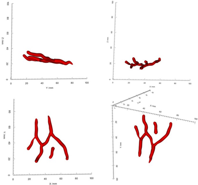 Fig. 8