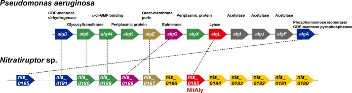 FIGURE 12.