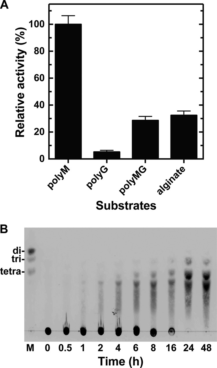 FIGURE 4.