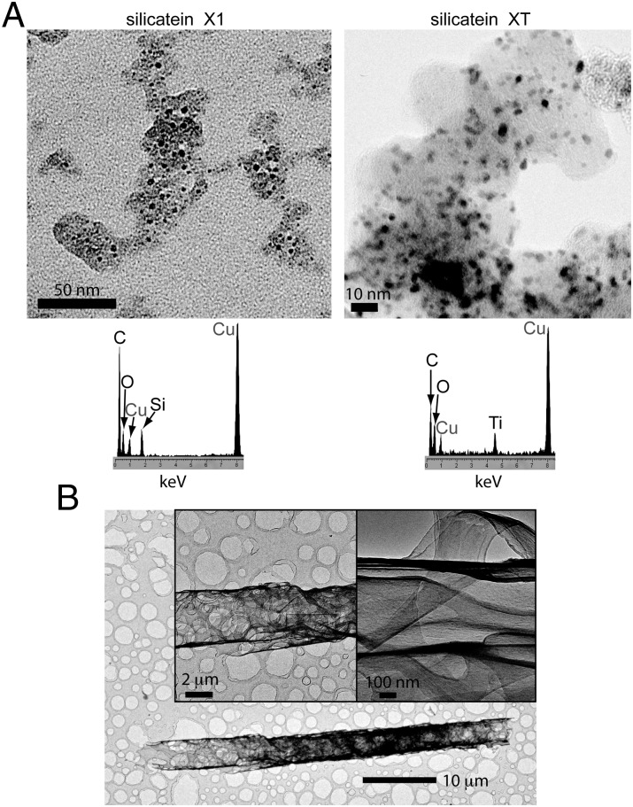 Fig. 5.