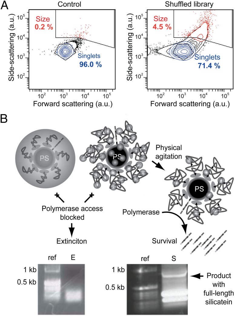 Fig. 3.