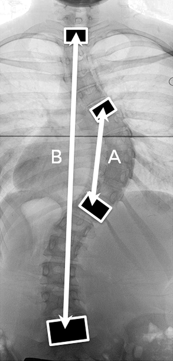 Fig. 1