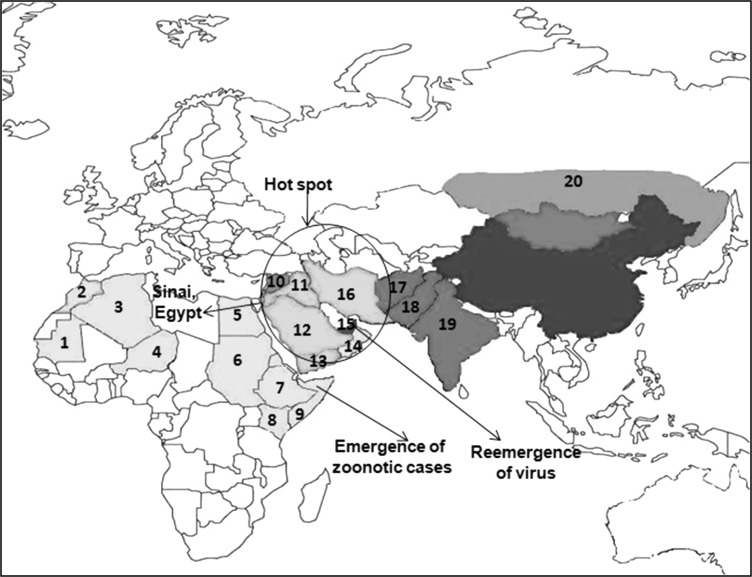 Fig. 1