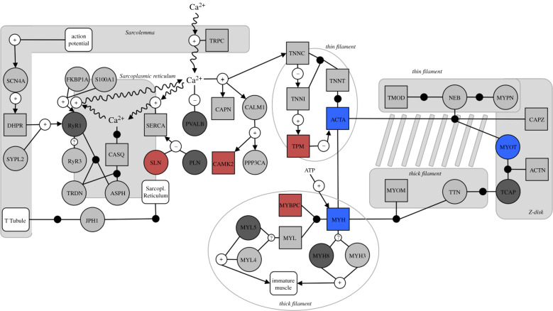 Figure 2.