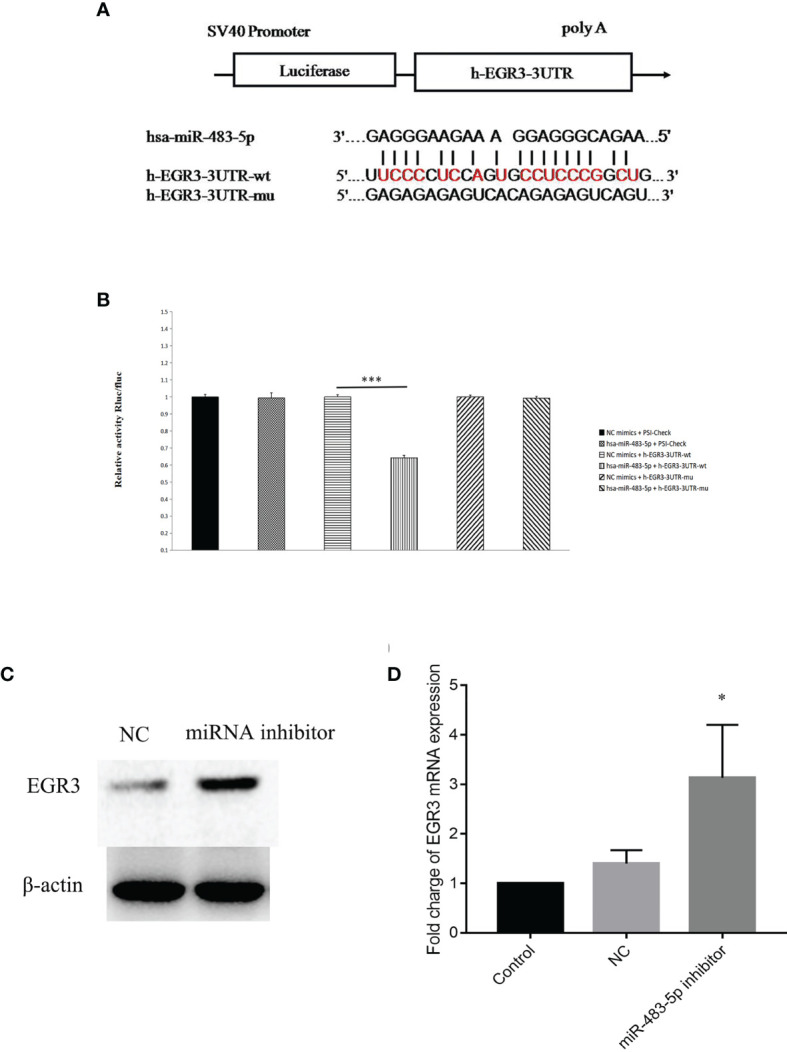 Figure 3