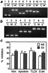 FIG. 10.