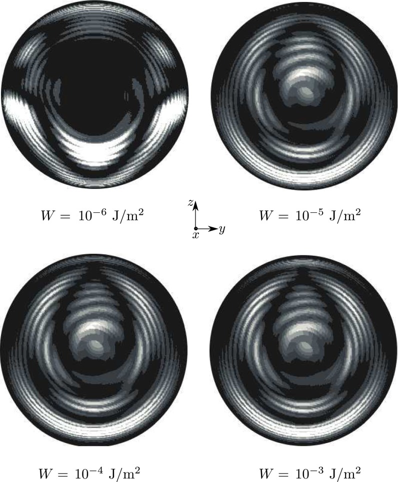 Fig. S1.