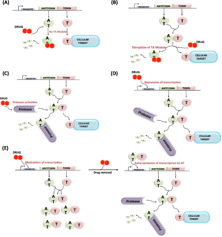 Fig 4