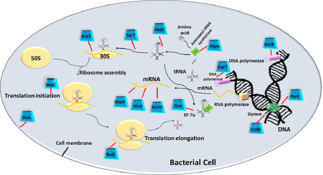 Image, graphical abstract