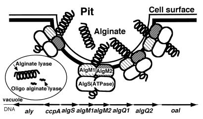 FIG. 7