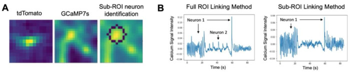 Figure 6.