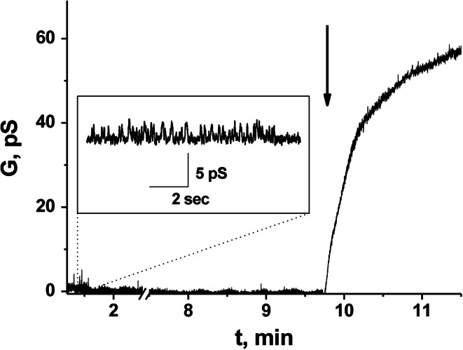 Fig. 1