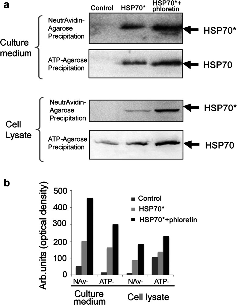 Fig. 3