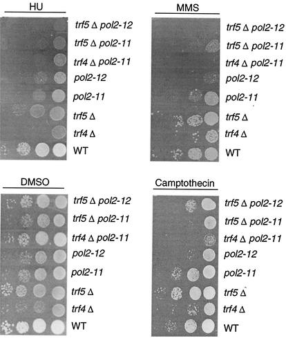 FIG. 5.