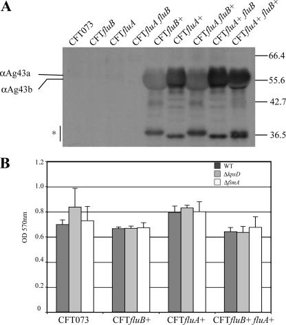 FIG. 7.