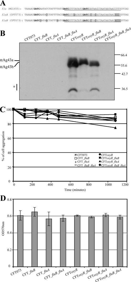 FIG. 5.