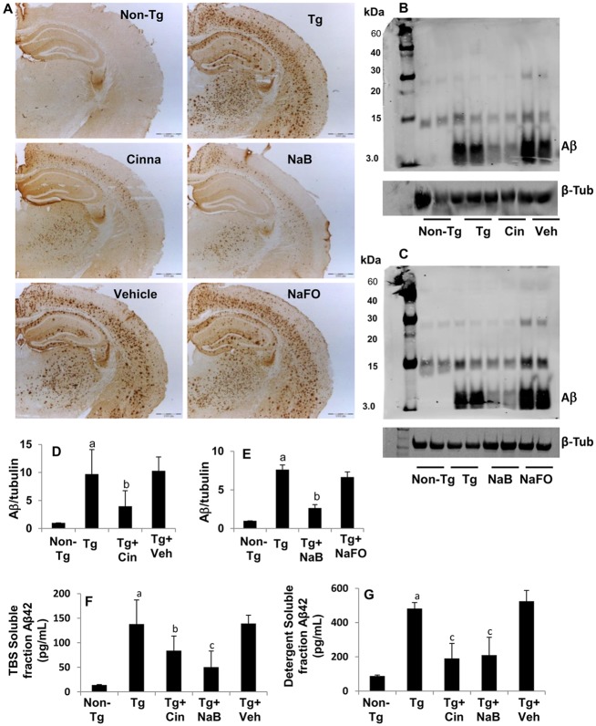 Fig 8