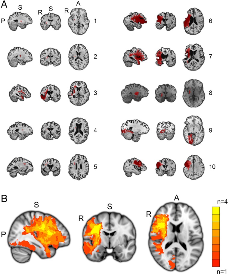 Figure 1.