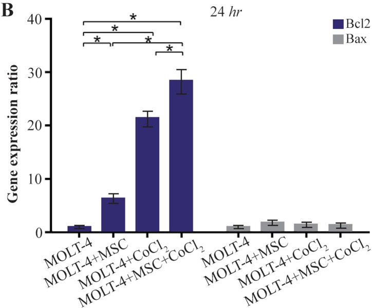 Figure 3B.