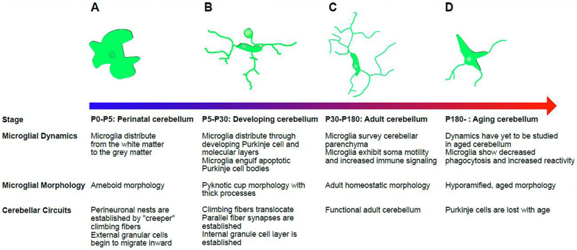 Figure 2: