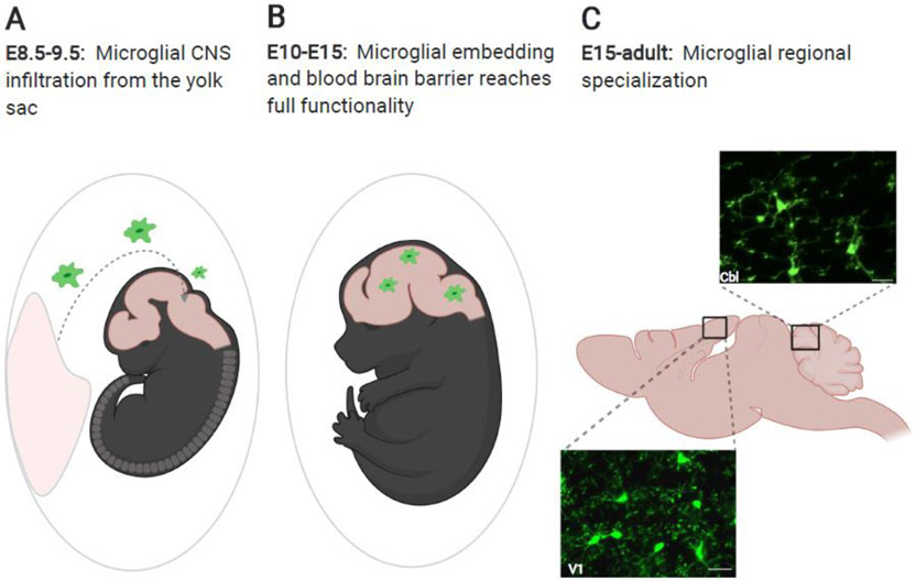 Figure 1: