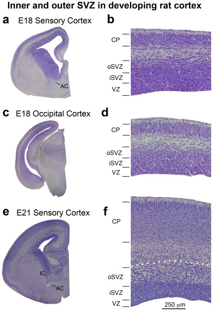 Figure 22