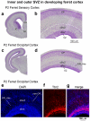 Figure 21