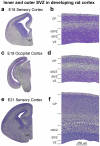 Figure 22