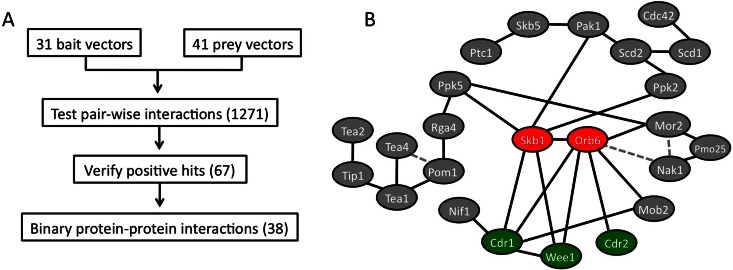 FIGURE 1: