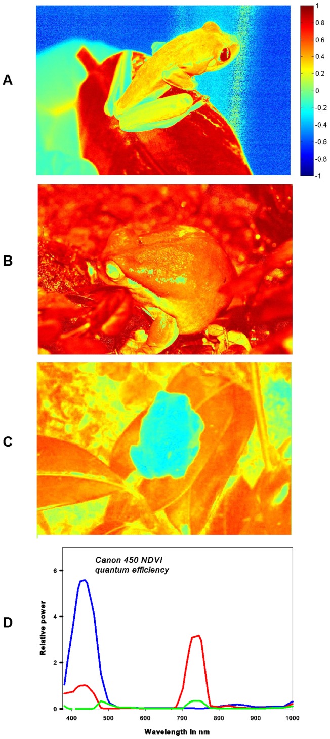 Figure 7