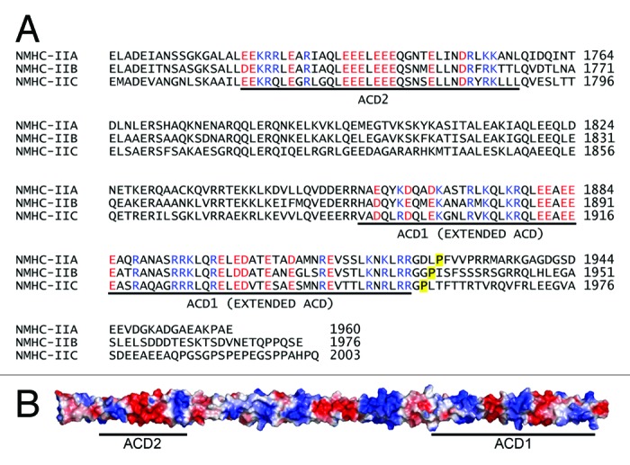 graphic file with name bioa-3-77-g3.jpg