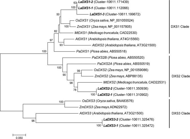 Figure 4