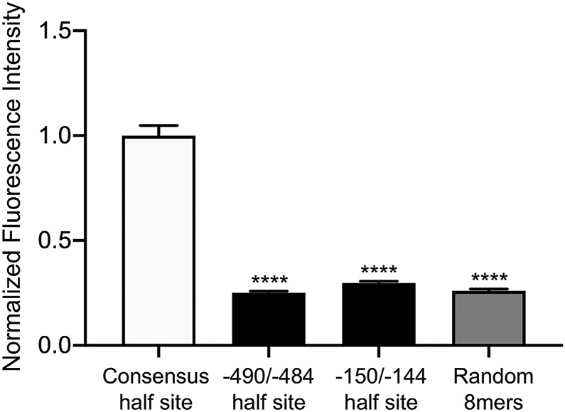 Fig. 8.