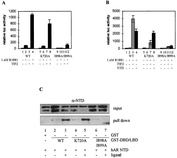 FIG. 6